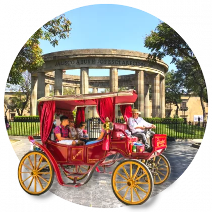 Calandria En guadalajara