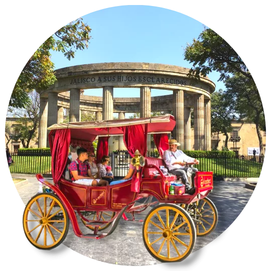 Calandria En guadalajara